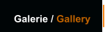 Galerie / Gallery
