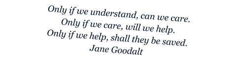 Only if we understand, can we care. Only if we care, will we help. Only if we help, shall they be saved. Jane Goodalt