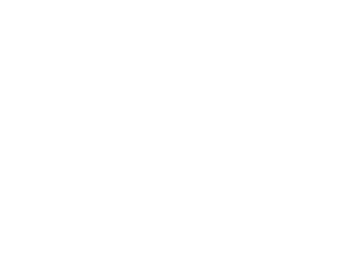 Sonderanfertigungen  und individuelle Stickereien  sind auf Anfrage und  Wunsch möglich, z.B. auch Hochzeitskissen