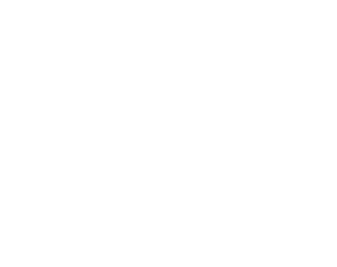 For supporting our  animal rescue projects  in India we also offer exclusive  textile articles!